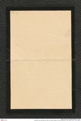 Nachlass Franz Steindachner, Brief von Eduard Graeffe an Franz Steindachner (16.04.1904), Inv.Nr. 173.43, Seite 4